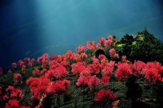 香港警察开枪平暴后暴徒在怂恿“把她女儿扔下楼”【开云电竞中国】(图3) 开云电竞