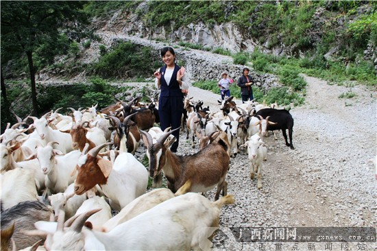 开云电竞官方网站