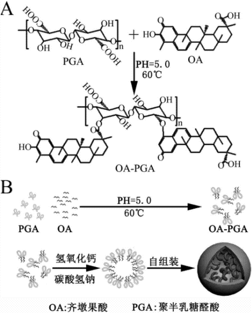 开云电竞官方网站