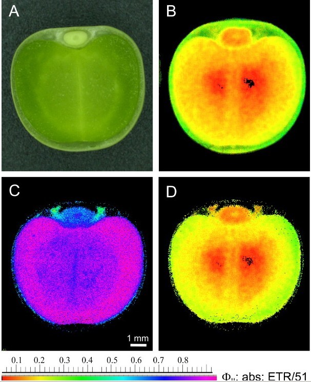 开云电竞官方网站