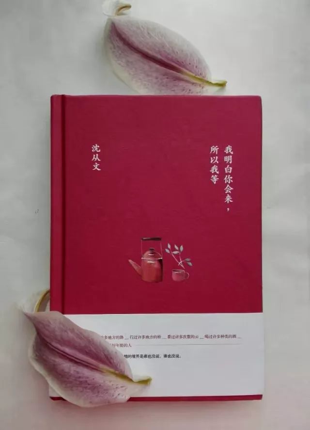 开云电竞官方网站