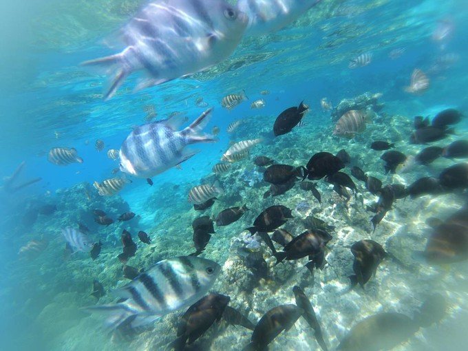 开云电竞官方网站