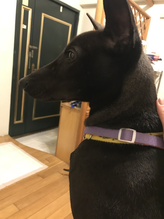 【开云电竞官方网站】台军再曝性骚扰丑闻:男少将遭女下属集体检控被调职(图1) 开云电竞