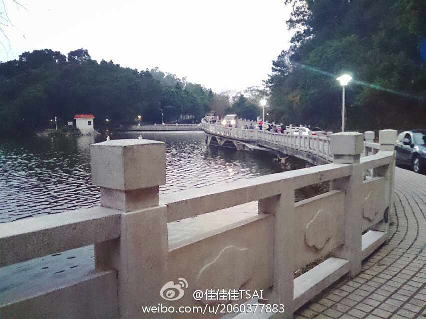 开云电竞官方网站